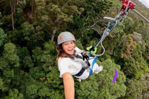 TreeTop Challenge Adrenaline Pass