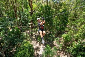 TreeTop Challenge at Currumbin Wildlife Sanctuary