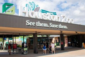 Official Houston Zoo Admission Ticket
