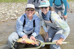 3-Hr Intro to Fly Fishing Tour in Jackson Hole