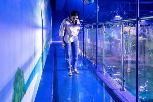 National Aquarium Abu Dhabi Tickets 