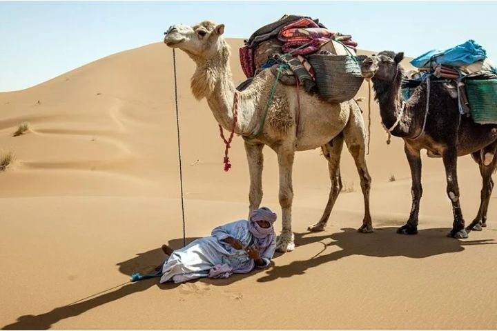 10 Days Morocco tour from Casablanca image