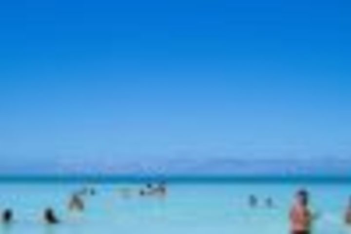 From Santo Domingo: Isla Saona Full-Day Tour with Lunch image