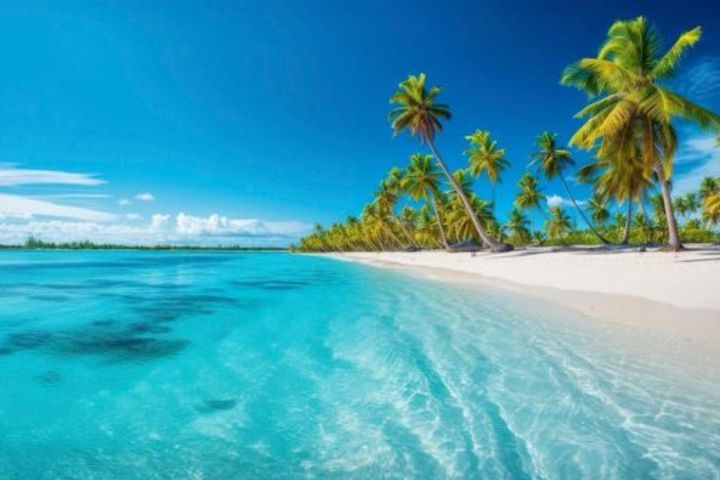Punta Cana: Catalina Island Snorkeling Tour with Lunch image