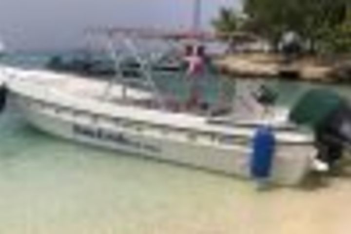 Saona Island: Beach & Natural Pool Small-Group Tour w/ Lunch image