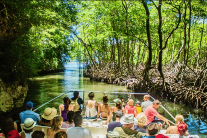 3in1 Fullday Los Haitises & Waterfal SPA from Punta Cana image