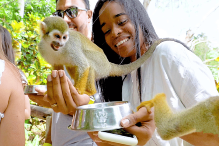 Monkeyland tour + Transportation from cruise/hotel image