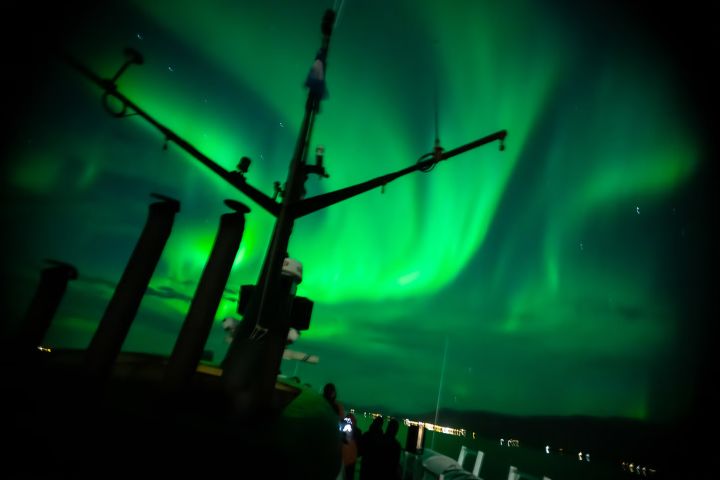 Reykjavik Food Lovers Tour & Northern Lights by Boat image