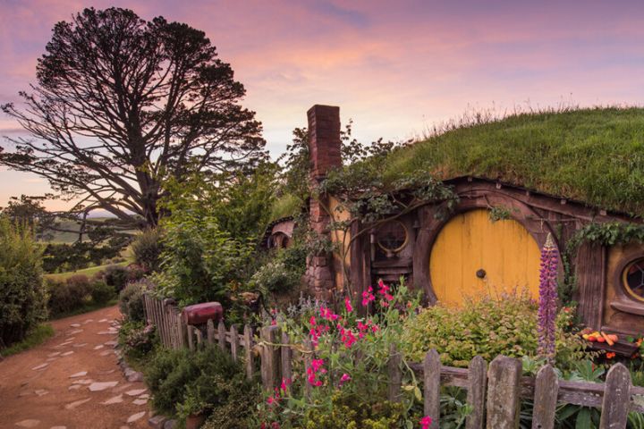 Hobbiton Movie Set Tour – Day Trip from Auckland image