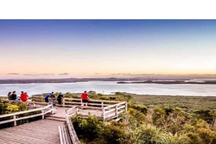 Auckland Rangitoto Island Sunset Kayak Adventure image