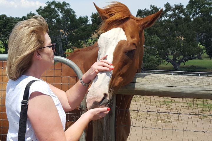 Living Legends Racehorse Tour – Half-Day from Melbourne image