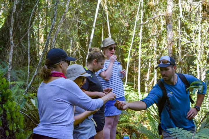 Kayak and Hiking Adventure Experience image