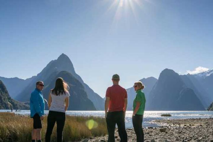 Te Anau to Milford Sound Scenic Day Tour image