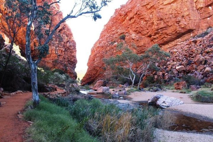 West MacDonnell Ranges Half Day Private Charter image