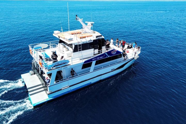 Busselton Whale Watching Cruise Adventure image