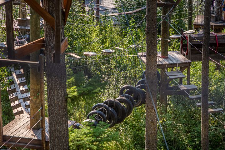 Aerial Adventure Park | West Glacier, Montana image