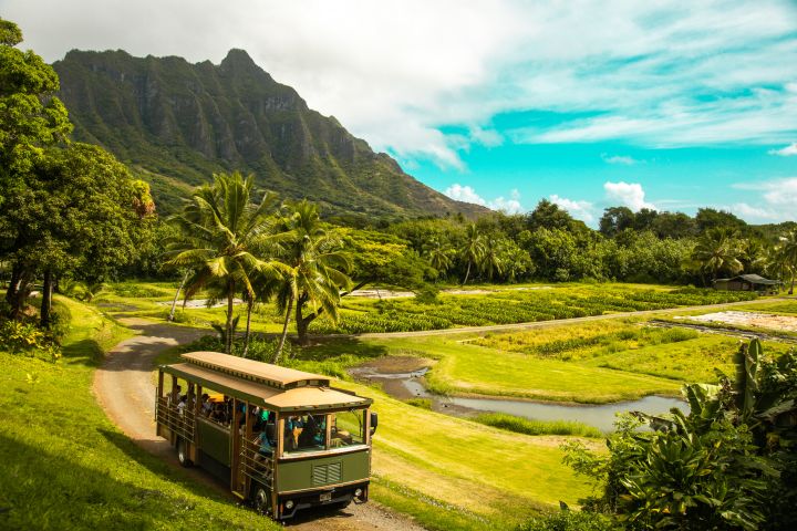 Kualoa Grown Tour image