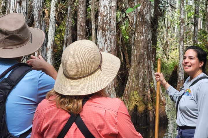 Everglades National Park Immersion Experience image