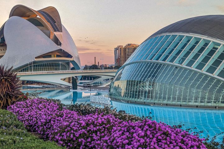 City of Arts and Sciences - Entry Ticket image