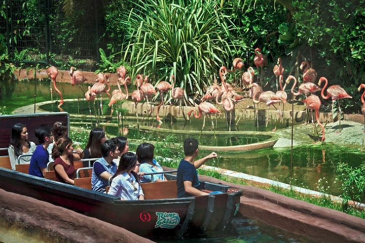 Safari world Bangkok image
