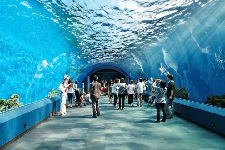 Underwater World Pattaya Ticket image