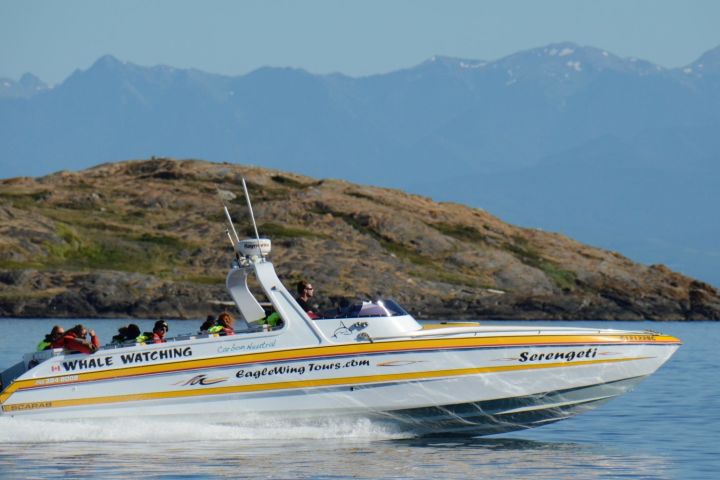 Serengeti Extended Whale Watching Day Tour image