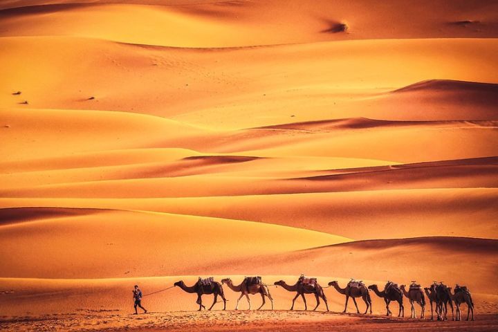 Morocco tours 8 days. image