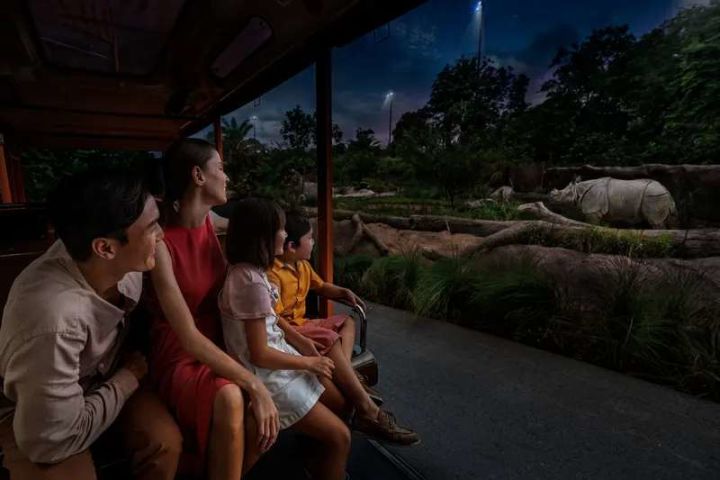 Night Safari Singapore Ticket With Tram Ride image