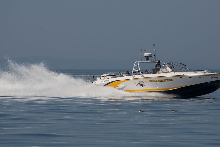 Open Boat Day Tour image