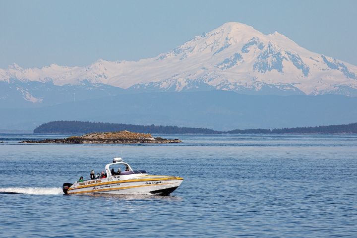 Open Boat Day Tour image
