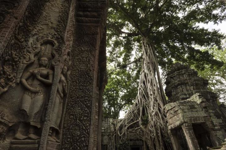 Steps Through Petra: A Self-guided Tour in Jordan image