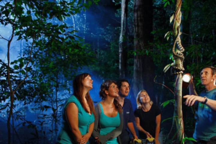 Los Haitises Night Hike In The Rainforest  image
