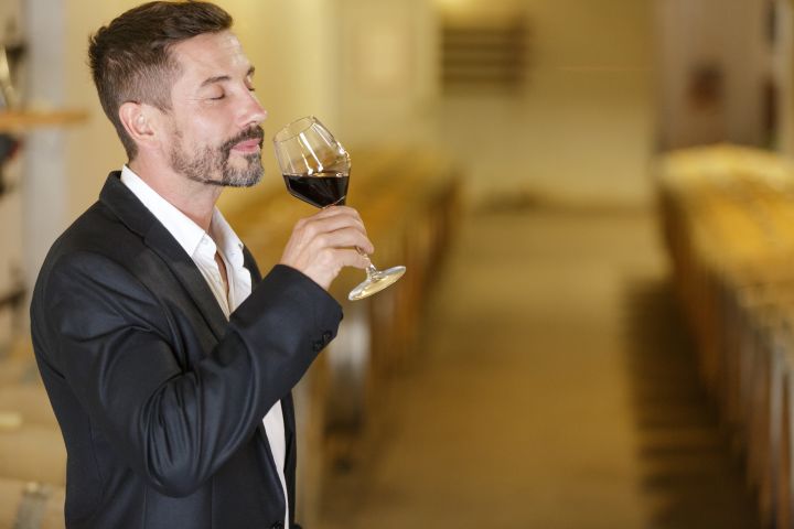 Sète Cruise Excursion to Montpellier & Languedoc Wine Tour image