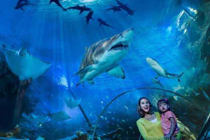 Kuala Lumpur Aquaria KLCC image