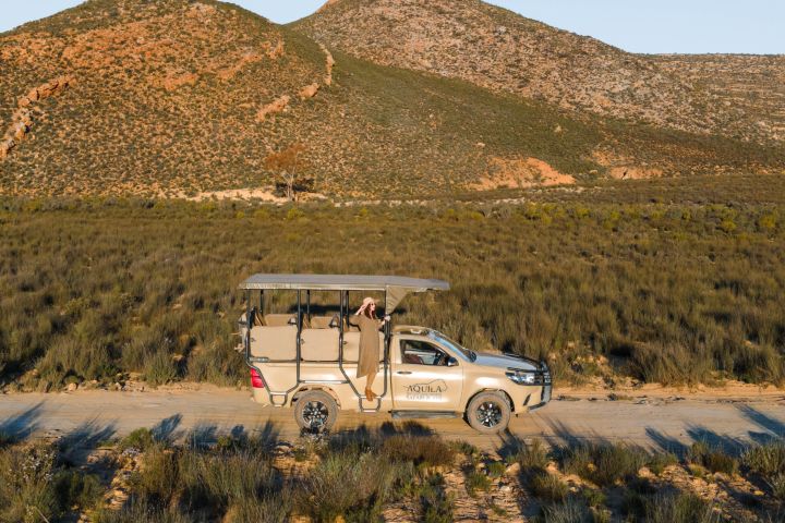 Cape Town Best of Aquila Safari Full Day Tour  image