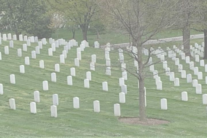 Arlington National Cemetery image