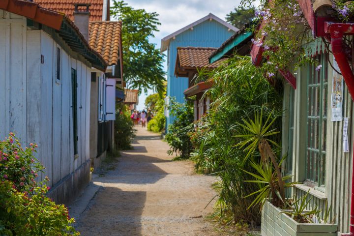 Arcachon Bay & Dune du Pilat Day Tour from Bordeaux image