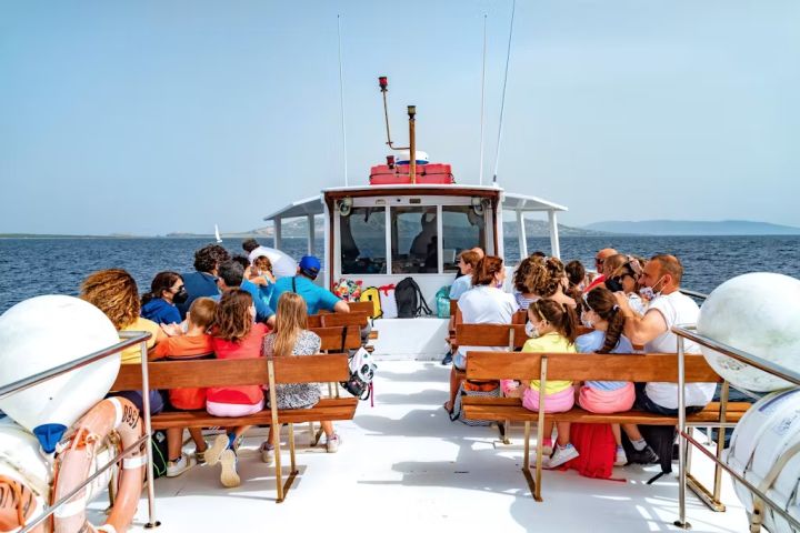 Boat Tour to Asinara from Stintino with Guided Tour image