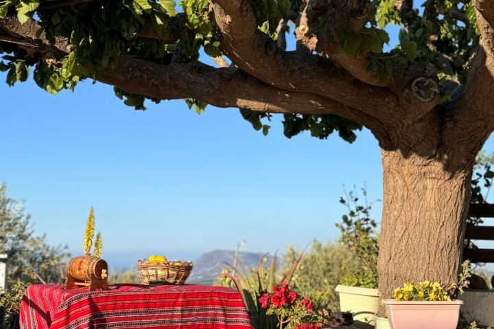 Cretan Delights - Wine, Olive Oil & Cooking Workshop image