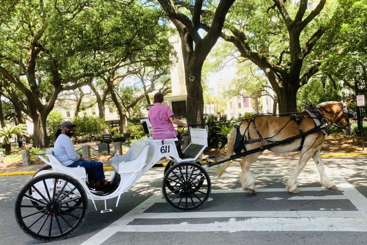 Private Daytime Carriage Tour of Historic Savannah image