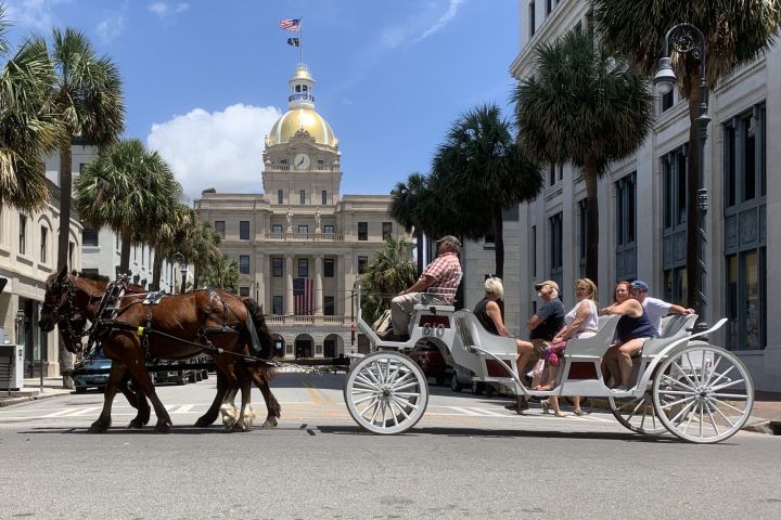 Daytime Carriage Tour of Historic Downtown Savannah image