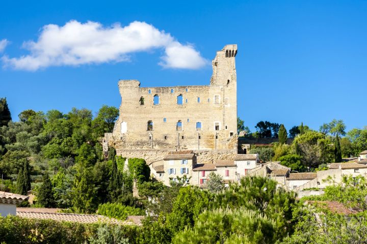 Marseille Cruise Excursion : Avignon & Provence wines image