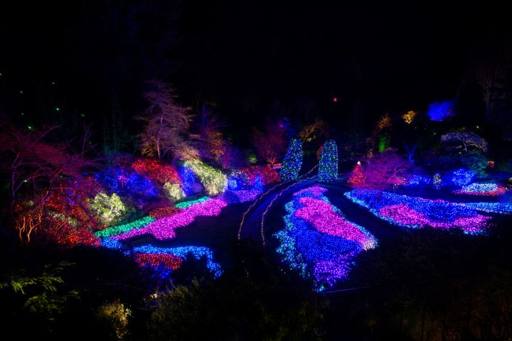 From Vancouver: Victoria & Butchart Gardens Christmas Tour image