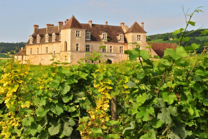From Dijon Burgundy wine tour to Cote de Nuits (private) image