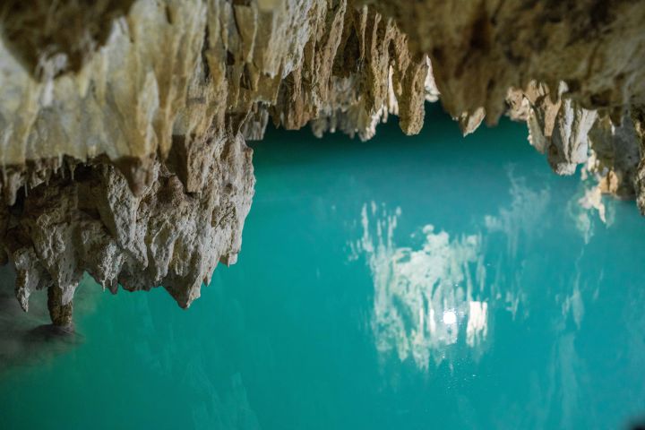 Swim with Turtles, Visit Tulum Ruins and Cenotes image