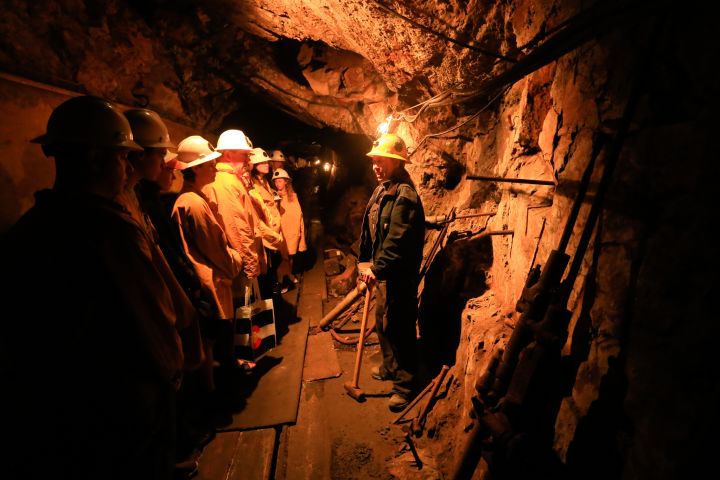 Breckenridge Real Gold Mine Tour image