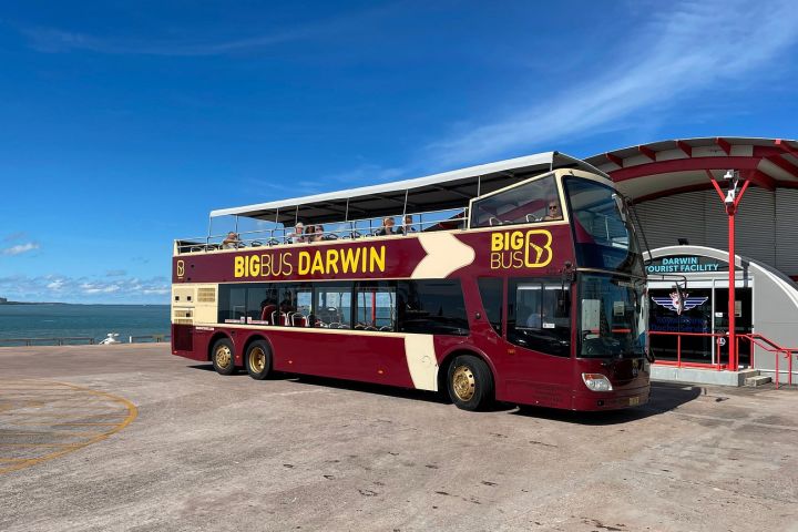 Darwin Deluxe Ticket: 2-Day Hop-On Hop-Off Tour, Crocosaurus Cove & Royal Flying Doctors image