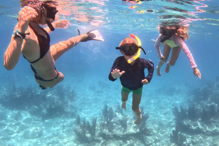 Cruise Excursion Combo in Key West | Small Groups image