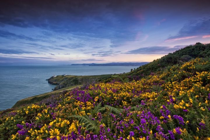 From Dublin: Half-Day Coastal Tour to Howth Village (Guided Walk and Return Transfer Included) image