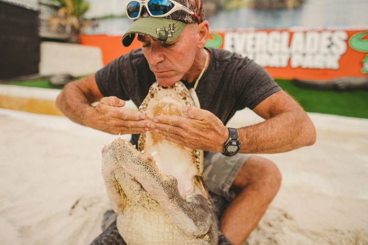 Everglades Adventure: Airboat & Alligator Show image